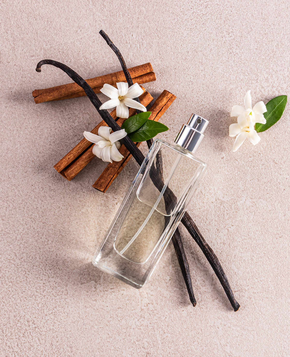 profumo di vaniglia