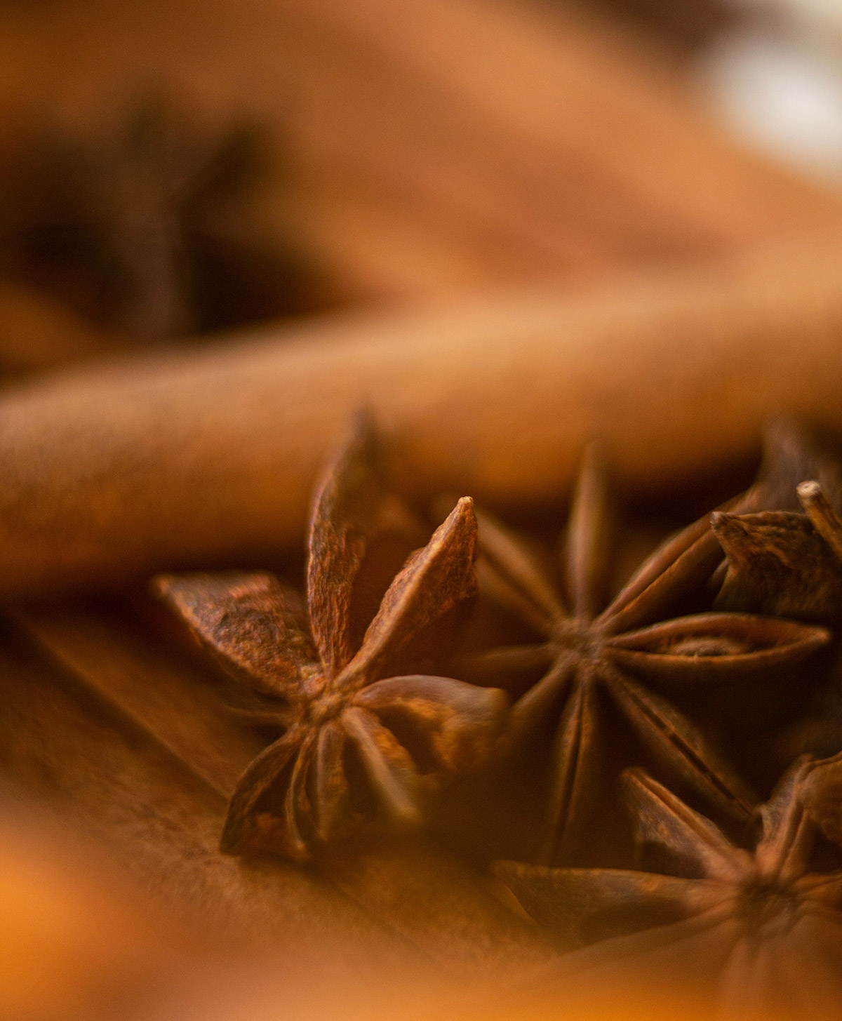 profumi33 spezie aromatiche usate nei profumi speziati: cannella, cardamomo, pepe nero