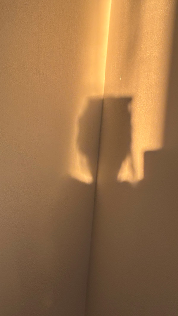 profumo di nicchia ispirato al paesaggio mediterraneo, essenziale e puro