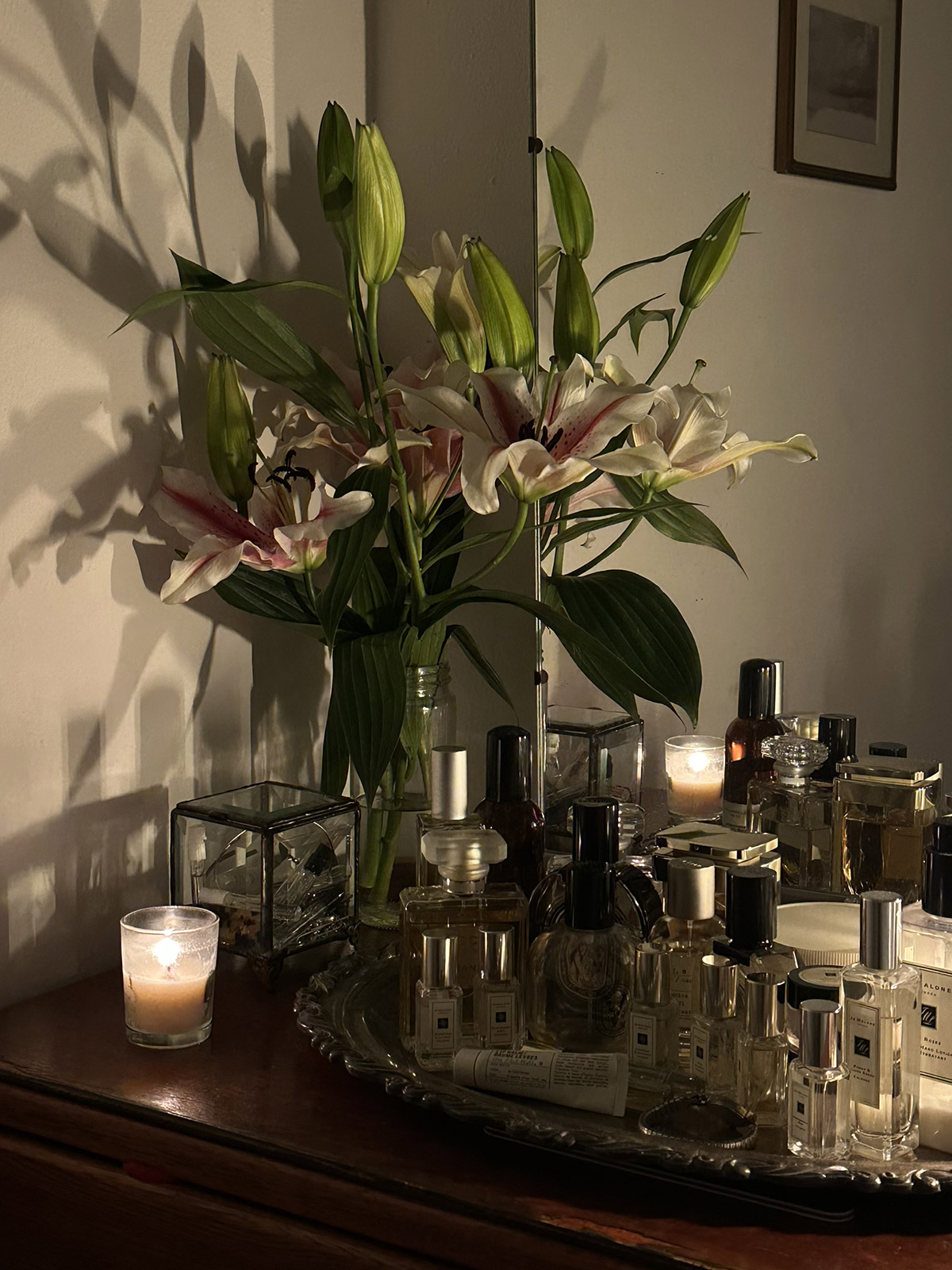 profumi di nicchia eleganti e raffinati, fragranze artigianali dal carattere unico