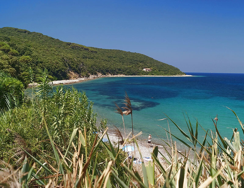 elba_main